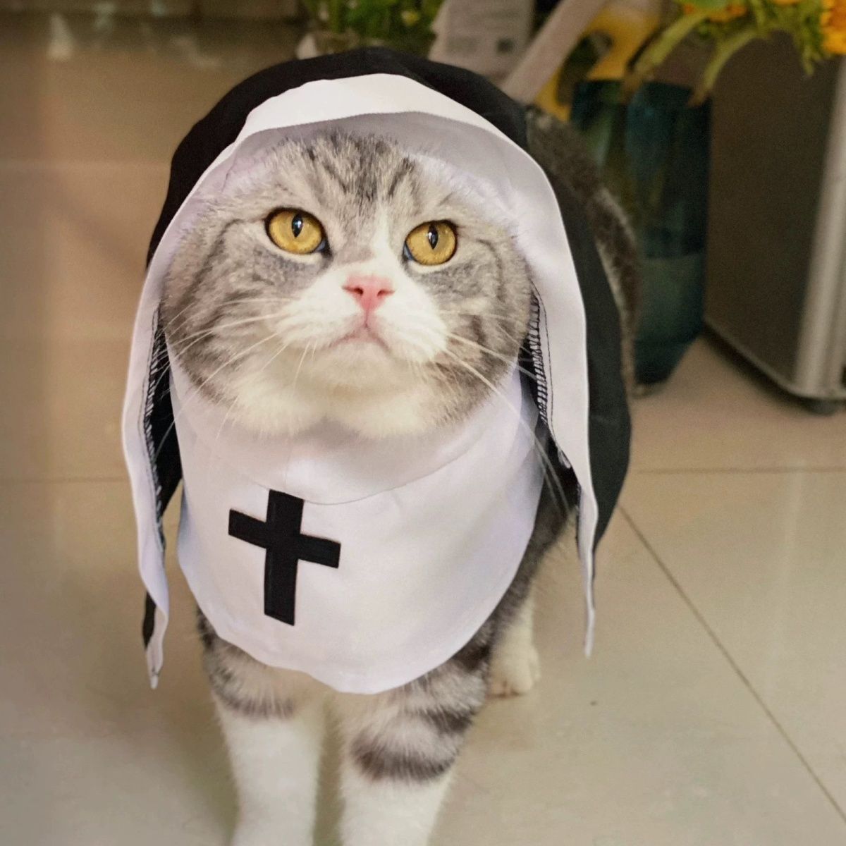 PET SHOW Nun Costume