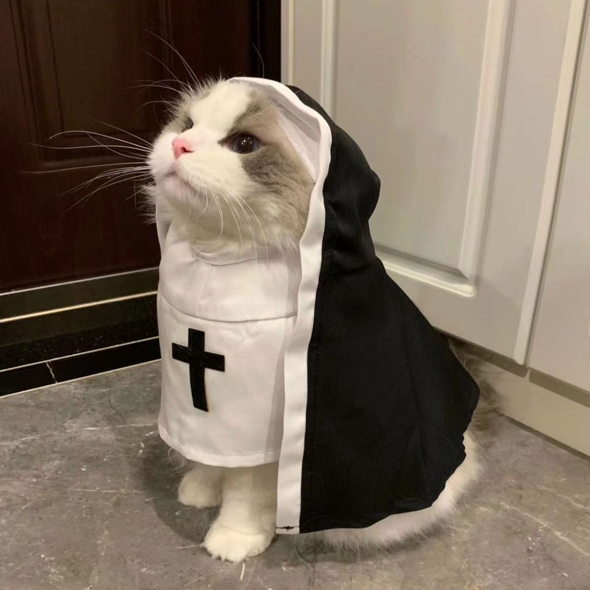 PET SHOW Nun Costume