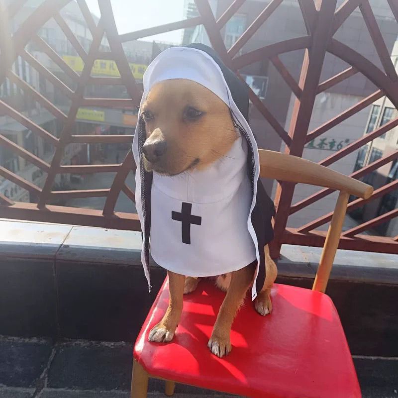 PET SHOW Nun Costume