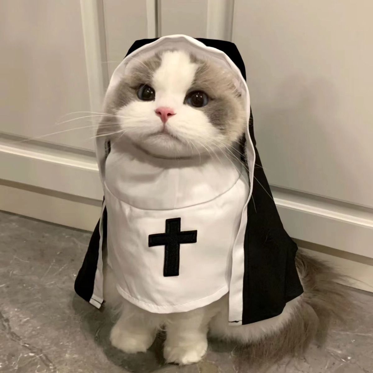 PET SHOW Nun Costume