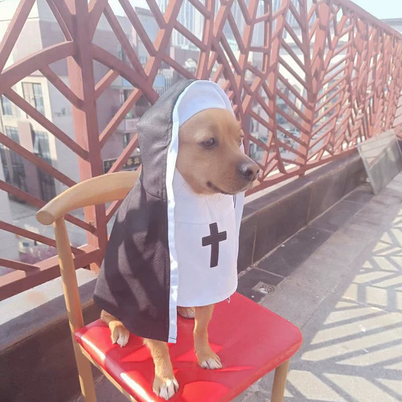 PET SHOW Nun Costume